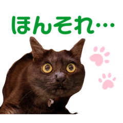 [LINEスタンプ] かぎさんと紫苑 7