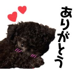 [LINEスタンプ] モコちゃんおしゃべりスタンプ