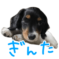 [LINEスタンプ] ぎんたのすたんぷ