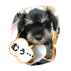 [LINEスタンプ] うめコロリ