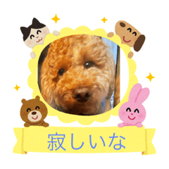 [LINEスタンプ] レオンソラ♡