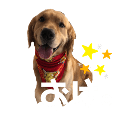 [LINEスタンプ] リックの日常①