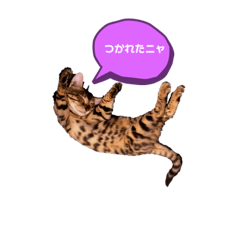 [LINEスタンプ] Life is Jazz