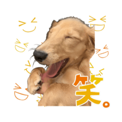 [LINEスタンプ] いとちゃん スタンプ