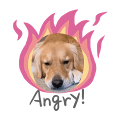 [LINEスタンプ] 愉快な怜央13