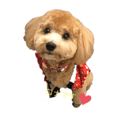 [LINEスタンプ] ロナお