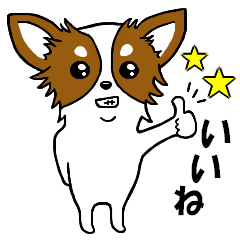 [LINEスタンプ] チワワのわんだふるライフ