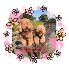 [LINEスタンプ] ayami0901