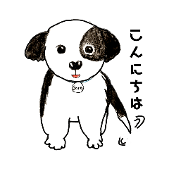 [LINEスタンプ] ボーダーコリー／手書きスタンプ