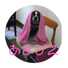 [LINEスタンプ] おきゃわメロウ