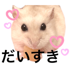 [LINEスタンプ] 職業、たいぞー