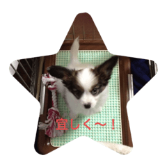 [LINEスタンプ] ココ@福山