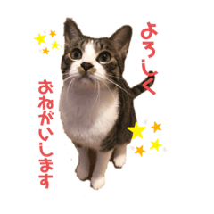 [LINEスタンプ] ばろんとてと