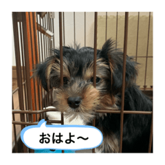[LINEスタンプ] 歩く宝石