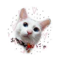 [LINEスタンプ] 青い目きたろう