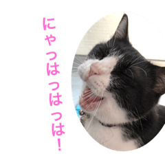 [LINEスタンプ] 十夢君スタンプ