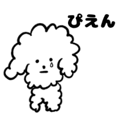 [LINEスタンプ] ボクはトイプードルのシュウくんです