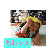 [LINEスタンプ] ゆづゆの。