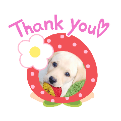 [LINEスタンプ] ぷりDog