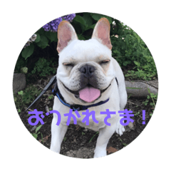 [LINEスタンプ] ブチコロスタンプ No.2
