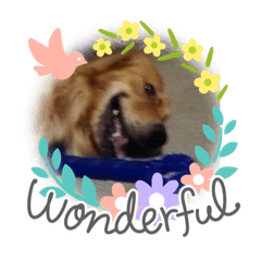 [LINEスタンプ] 愉快な怜央12