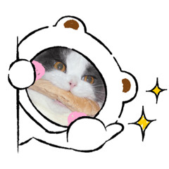 [LINEスタンプ] 三浦家の猫