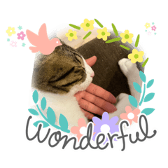 [LINEスタンプ] ちびるるちゃん♡♡