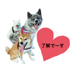 [LINEスタンプ] こじこてこと