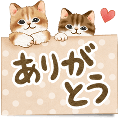[LINEスタンプ] メッセージカード☆猫たちのスタンプの画像（メイン）