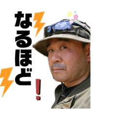 [LINEスタンプ] わたしのスタンプ 羽丸4