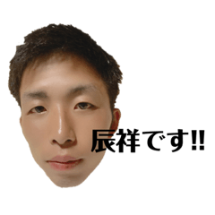 [LINEスタンプ] わたし辰祥です。