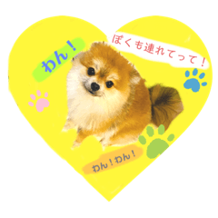 [LINEスタンプ] くうちゃんすたんぷ♡
