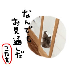 [LINEスタンプ] こたちゃんすたんぷほのぼの