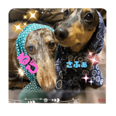 [LINEスタンプ] るびさふぁスタンプbyてぃあらママ7