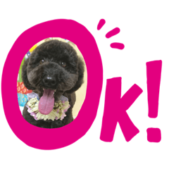 [LINEスタンプ] ぼくオレオ