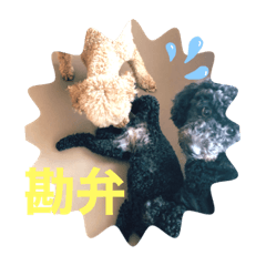 [LINEスタンプ] わんず！