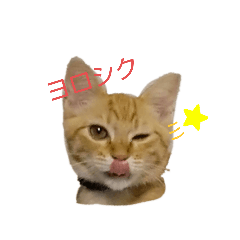 [LINEスタンプ] mugi＆