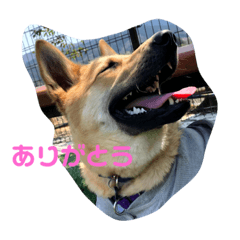 [LINEスタンプ] 空太（くうた）のスタンプ