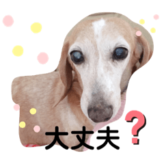 [LINEスタンプ] かわいいまりん2