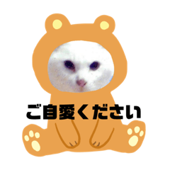 [LINEスタンプ] ランちゃんシリーズⅡ