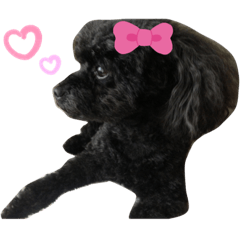 [LINEスタンプ] COCOちゃん♡♡