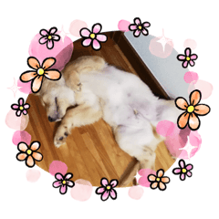 [LINEスタンプ] 愉快な怜央14
