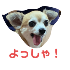 [LINEスタンプ] テツコのすたんぷ2