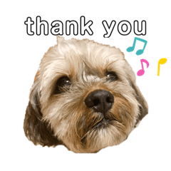 [LINEスタンプ] 田中レモン。2