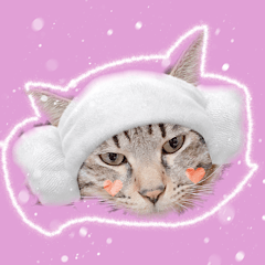 [LINEスタンプ] ちょんたろ