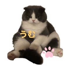 [LINEスタンプ] 大好きな みっちゃん♡