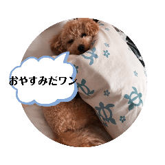 [LINEスタンプ] ポノちゃんスタンプその8