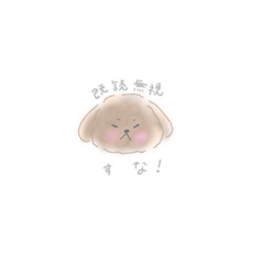 [LINEスタンプ] トイプーの日常2❗