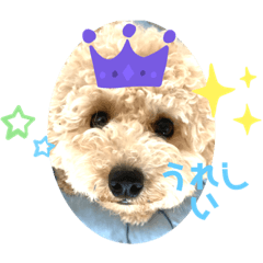 [LINEスタンプ] ポムはいつもげんきなんです〜