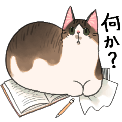 [LINEスタンプ] ちびちゃん(=^・ω・^=)スタンプ